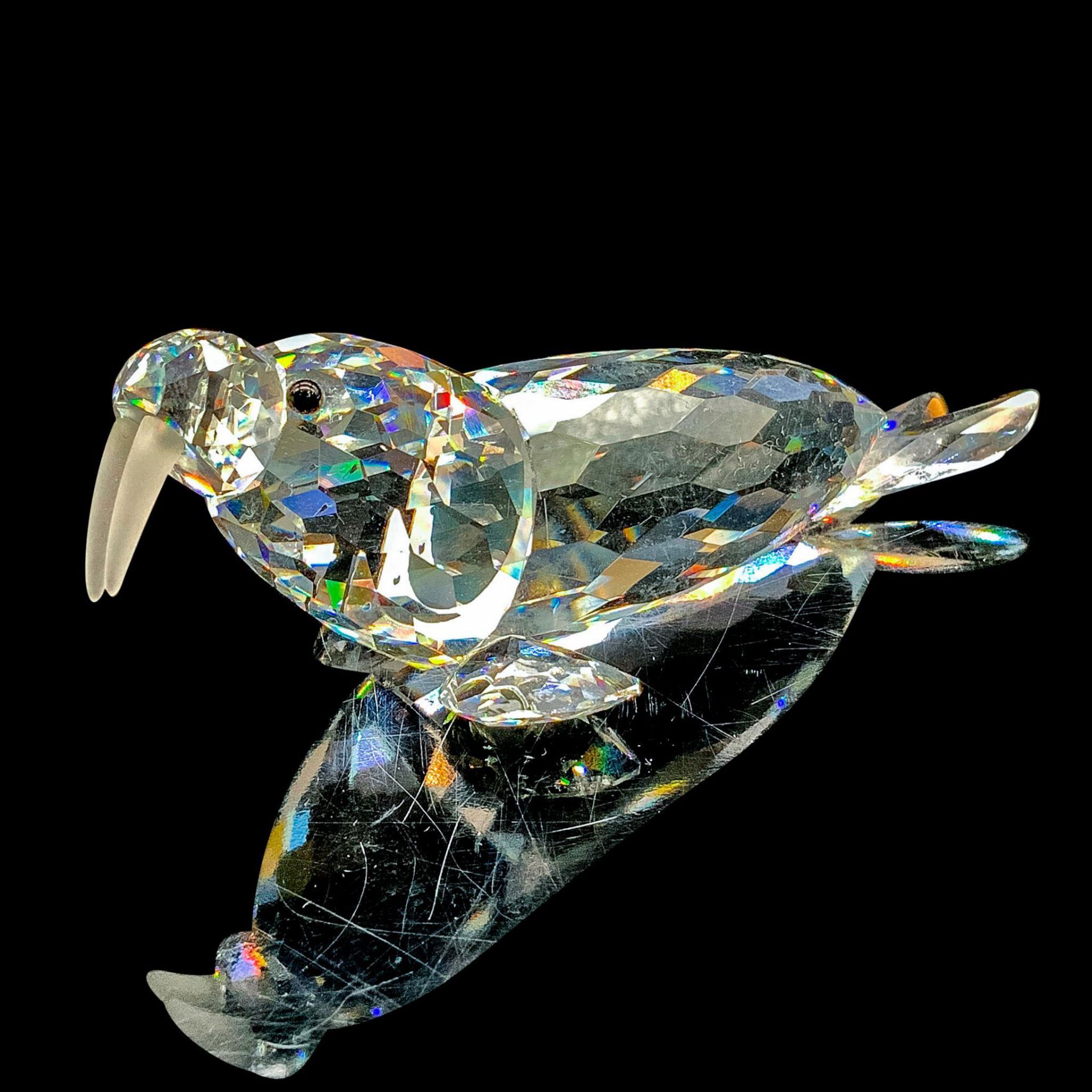 Swarovski Crystal Figurine, Walrus 153901