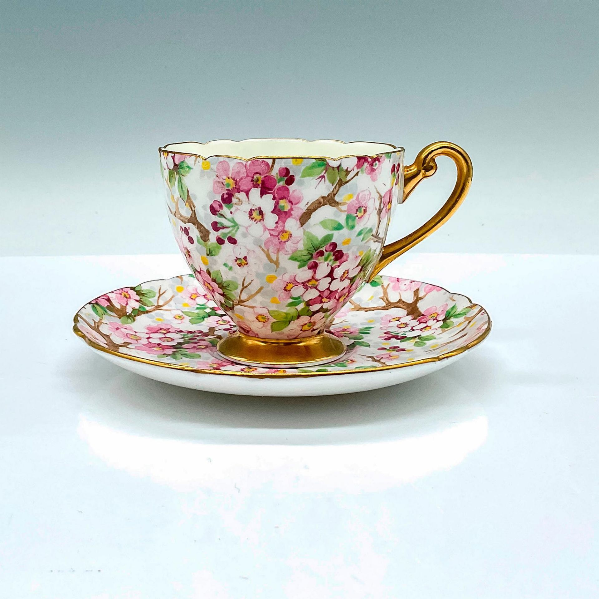 2pc Shelley China Teacup and Saucer, Maytime