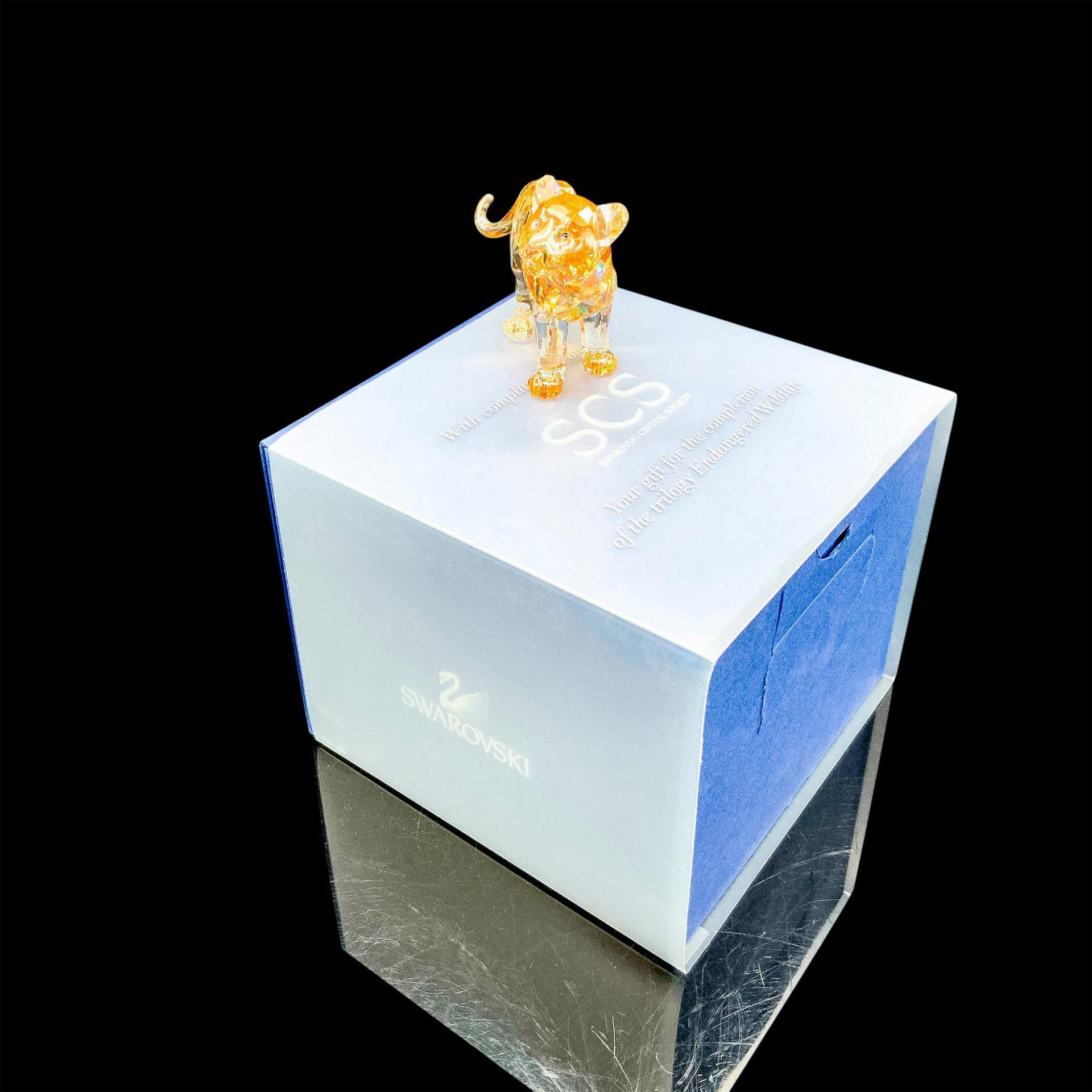 Swarovski Crystal Figurine, SCS Tiger Cub Standing - Bild 3 aus 3