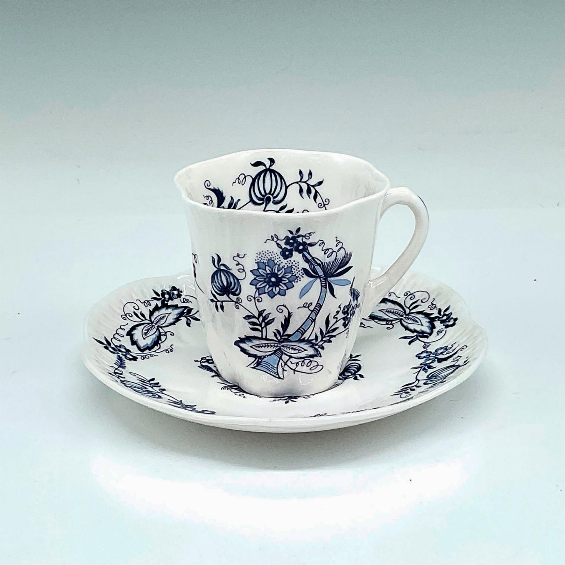 2pc Shelley Bone China Teacup and Saucer, Meissenette