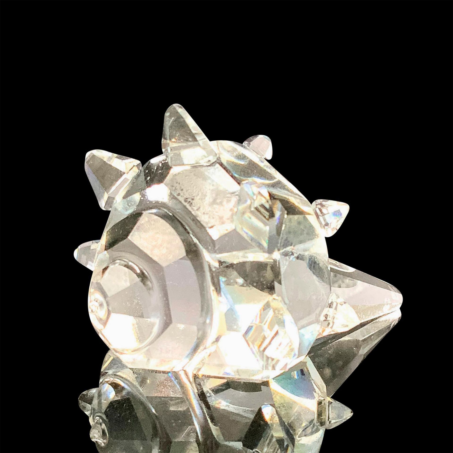 Swarovski Crystal Figurine, South Sea Shell