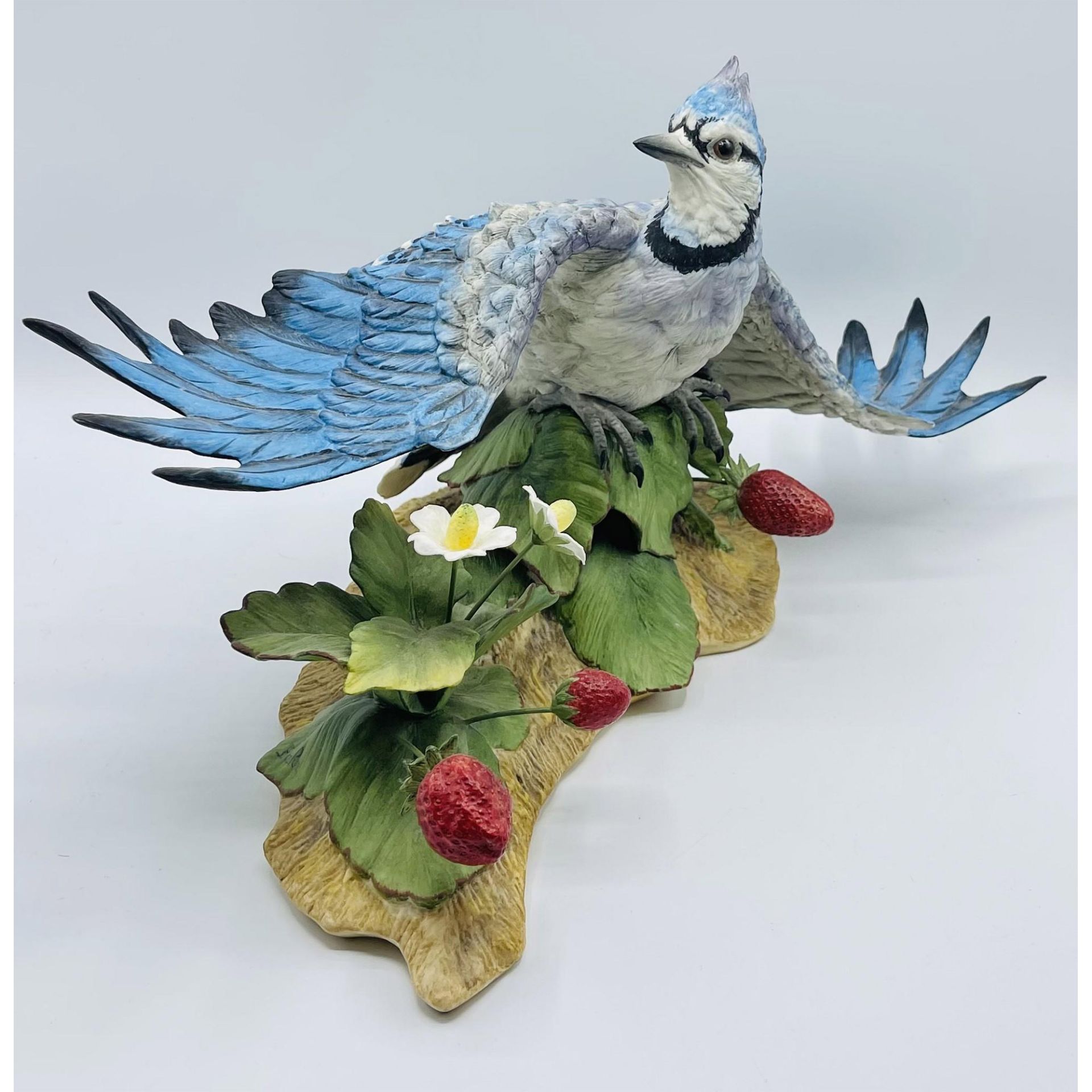 Boehm Limited Edition Bird Figurine, Blue Jay Female 40544