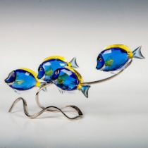 Swarovski Crystal Paradise Figurine, Surgeonfish