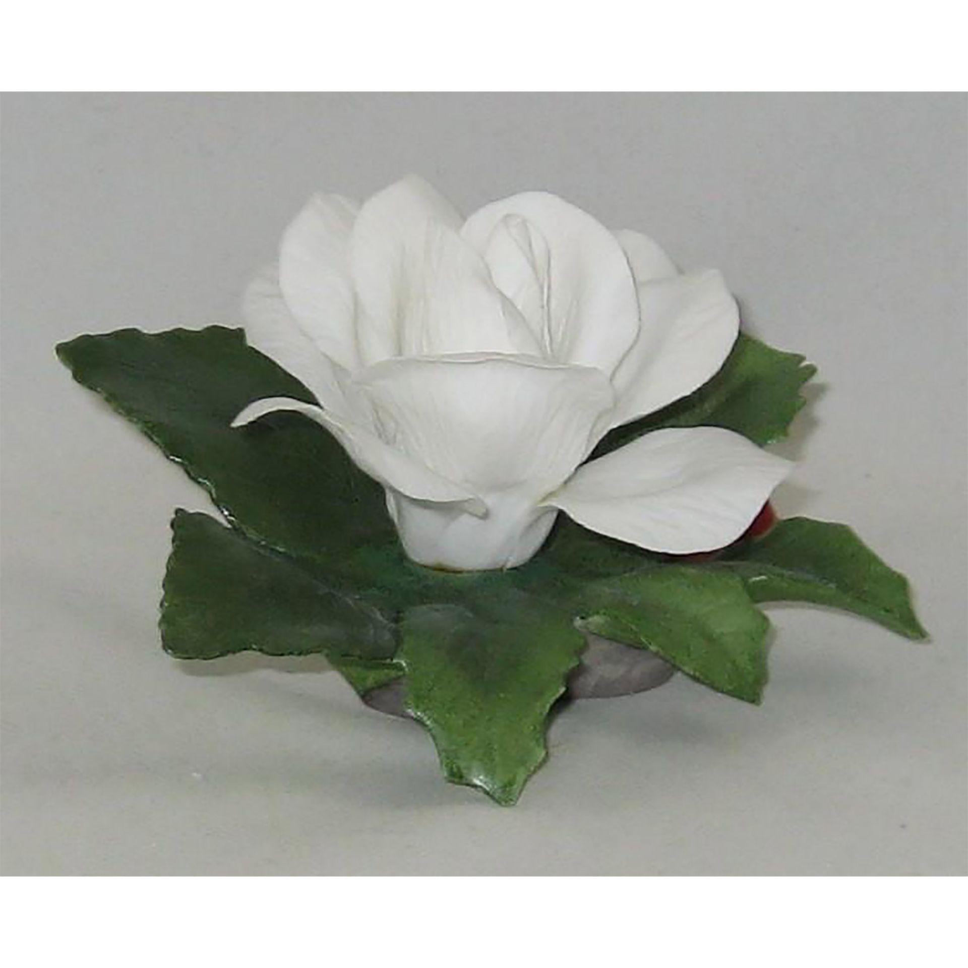 Boehm Porcelain Flower Sculpture, Christmas Rose F434 - Bild 3 aus 6