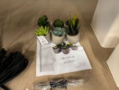 SET OF 6X ARTIFICIAL SUCCULENT PLANTS (NEW)