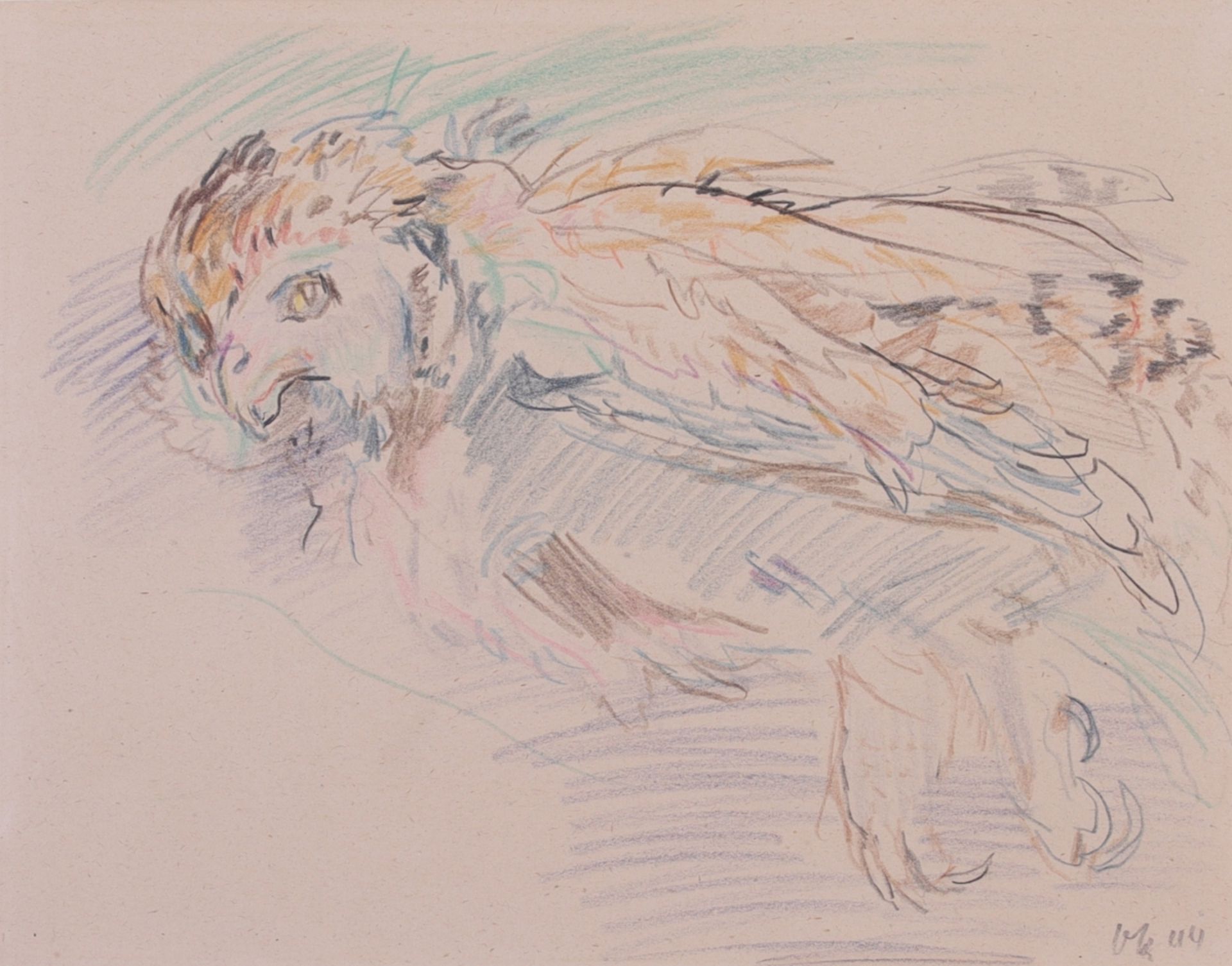 Kokoschka, Oskar(1886-1980)Owl, (19)44coloured pencil on paper, mounted on Japanese papermonogrammed