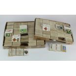 Trays packed with many 1000's of loose cigarette cards, useful lot. G-VG (2x trays)