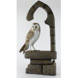 Mike Wood. A large carved wood sculpture by Mike wood, titled to base 'Barn Owl' (1/2000), depicting