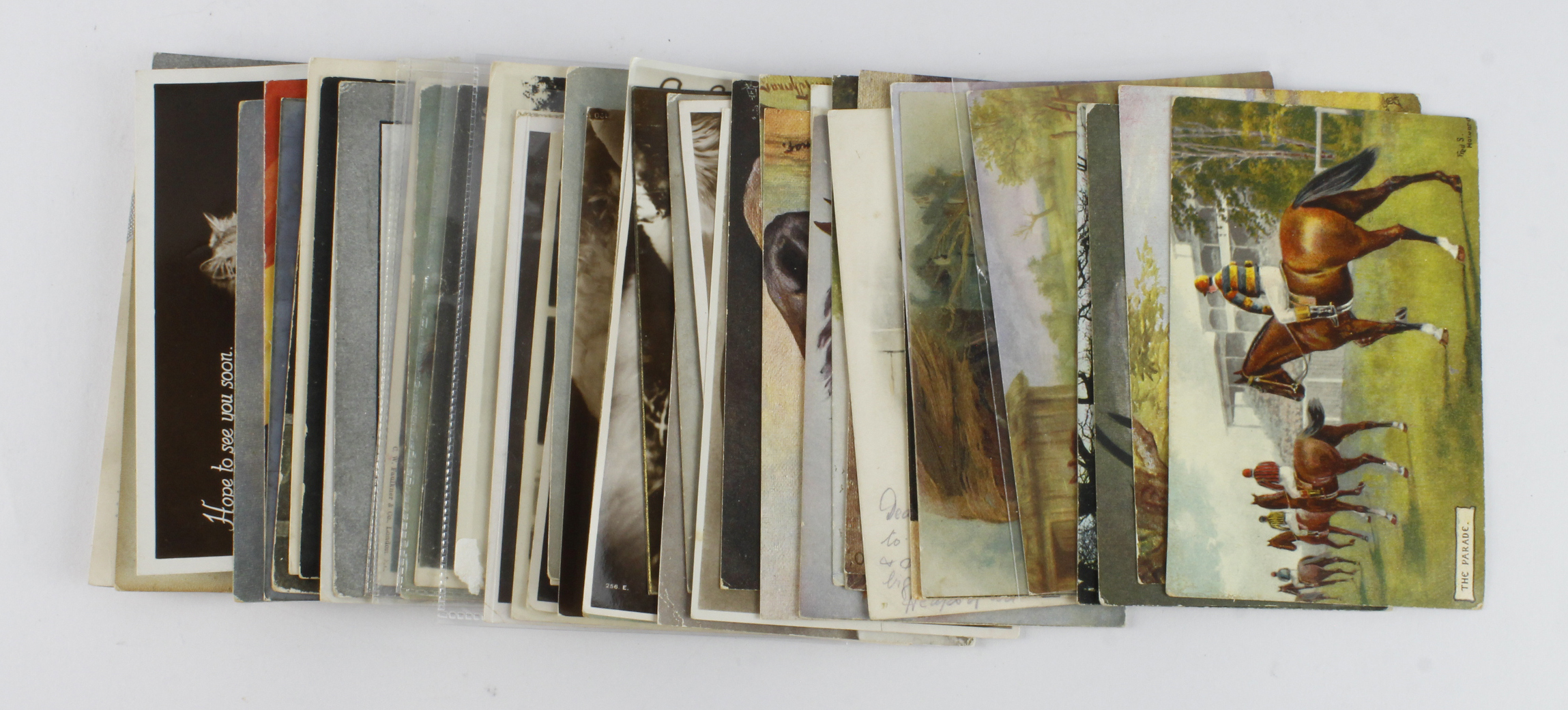 Animals, dogs, cats, horses, etc, original mixed selection (approx 58 cards)