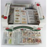 Large white banana box with approx 110 complete (mainly) Tobacco sets in sleeves (Heavy)