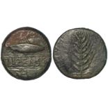 Celtic Iberia (Spain): Ilipense (Alcalá del Río, Seville) AE29, 150-100 BC. Obv: Fish r., crescent