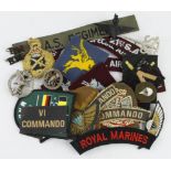 Mixed selection of Royal Marines, Commando, Airborne badges and patches.