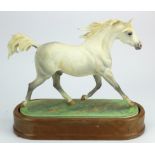 Royal Worcester Arab Stallion, Modelled by Doris Linder, dated 1963, no certificate, contained on