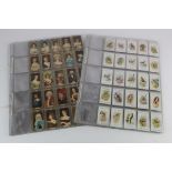 Cigarette card sets in sleeves, Gallaher Birds Nests & Eggs Series, British Birds by George