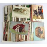 Dogs / Cats, very nice original collection, many better artists noted (approx 118 cards)