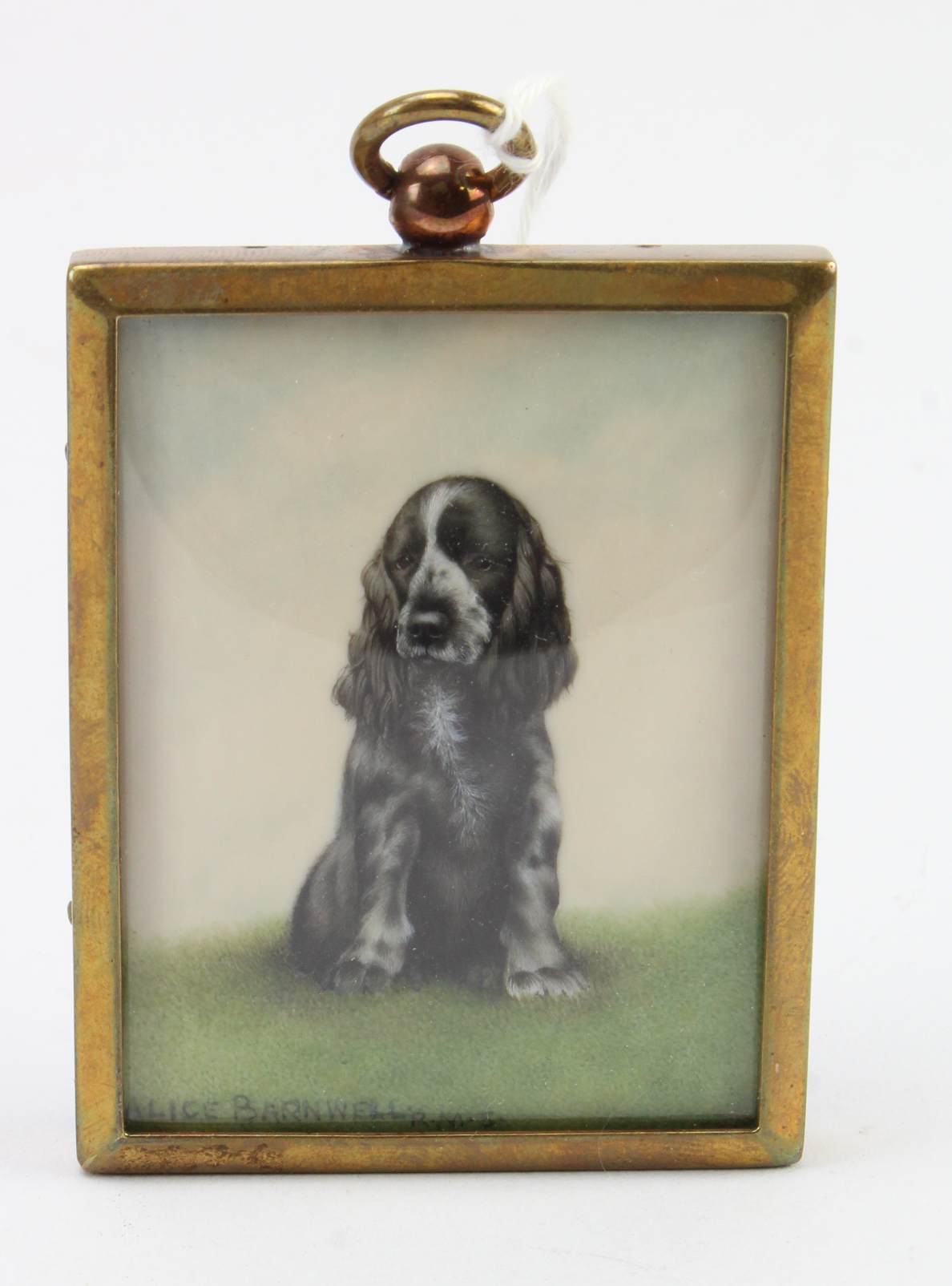 Alice Barnwell (R.M.S). Portrait miniature of a Spaniel dog, signed by artist to lower left, image