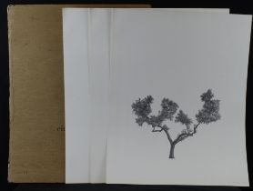 Eduardo Santos Guada - Limited edition portfolio titled Cinco Arboles (Five Trees) Edition no. 115/