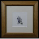 Cowdell, Andrew (British, contemporary). Watercolour on paper depicting a snowy owl. Image