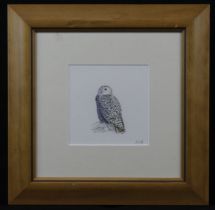 Cowdell, Andrew (British, contemporary). Watercolour on paper depicting a snowy owl. Image