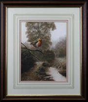 Adrian Rigby (b.1962). Gouache illustration depicting a Robin perched on a branch above a stream.