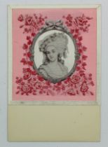 Art Nouveau, Princess De Lambelle, pink background. French publisher, rare   (1)