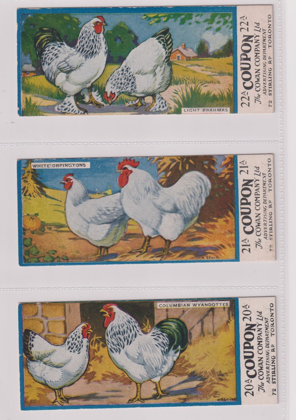 Trade cards, Canada, Cowan's, Canadian Bird Series (10/24, fair/gd), Chicken Cards (14/24, - Image 15 of 24