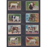 Cigarette cards, USA, two sets, The Khedivial Co Prize Dog Series No 102 (10 cards) & The Surbrug Co