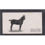 Cigarette card, Taddy, Famous Horses & Cattle, type card, no 27, Oldenburg Stallion Edelstein (