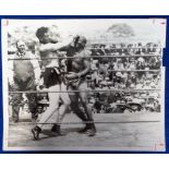 Boxing, an original 8 x 10” press photo, United Press International of Jack Johnson v Jess Willard