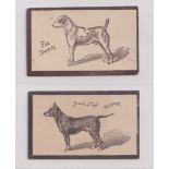 Cigarette cards, Goodbody's, Dogs (Multi backed), both 'Goodbody's Two Flakes' backs, two cards, '