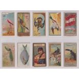 Cigarette cards USA, Allen & Ginter, a 150+ cards from many different series inc. Racing Colors of