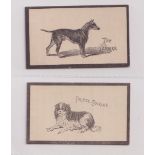 Cigarette cards, Goodbody's, Dogs (Multi backed), both 'Goodbody's Golden Flake' backs, two