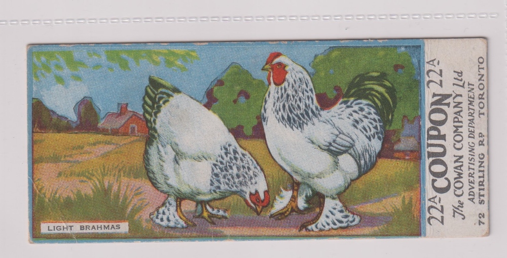 Trade cards, Canada, Cowan's, Canadian Bird Series (10/24, fair/gd), Chicken Cards (14/24, - Image 23 of 24