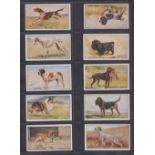 Cigarette cards, Murray, Sons & Co, Types of Dogs (set, 20 cards) (gd/vg)