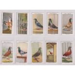 Cigarette cards, Ogden's, Racing Pigeons (set, 50 cards) (vg)