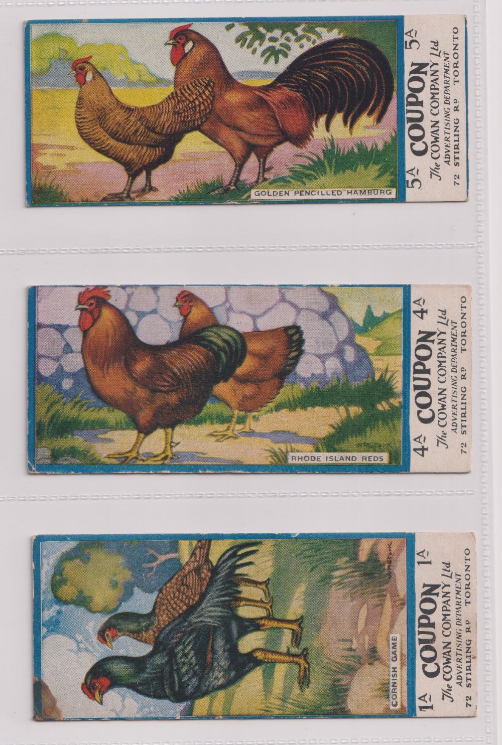 Trade cards, Canada, Cowan's, Canadian Bird Series (10/24, fair/gd), Chicken Cards (14/24, - Image 9 of 24
