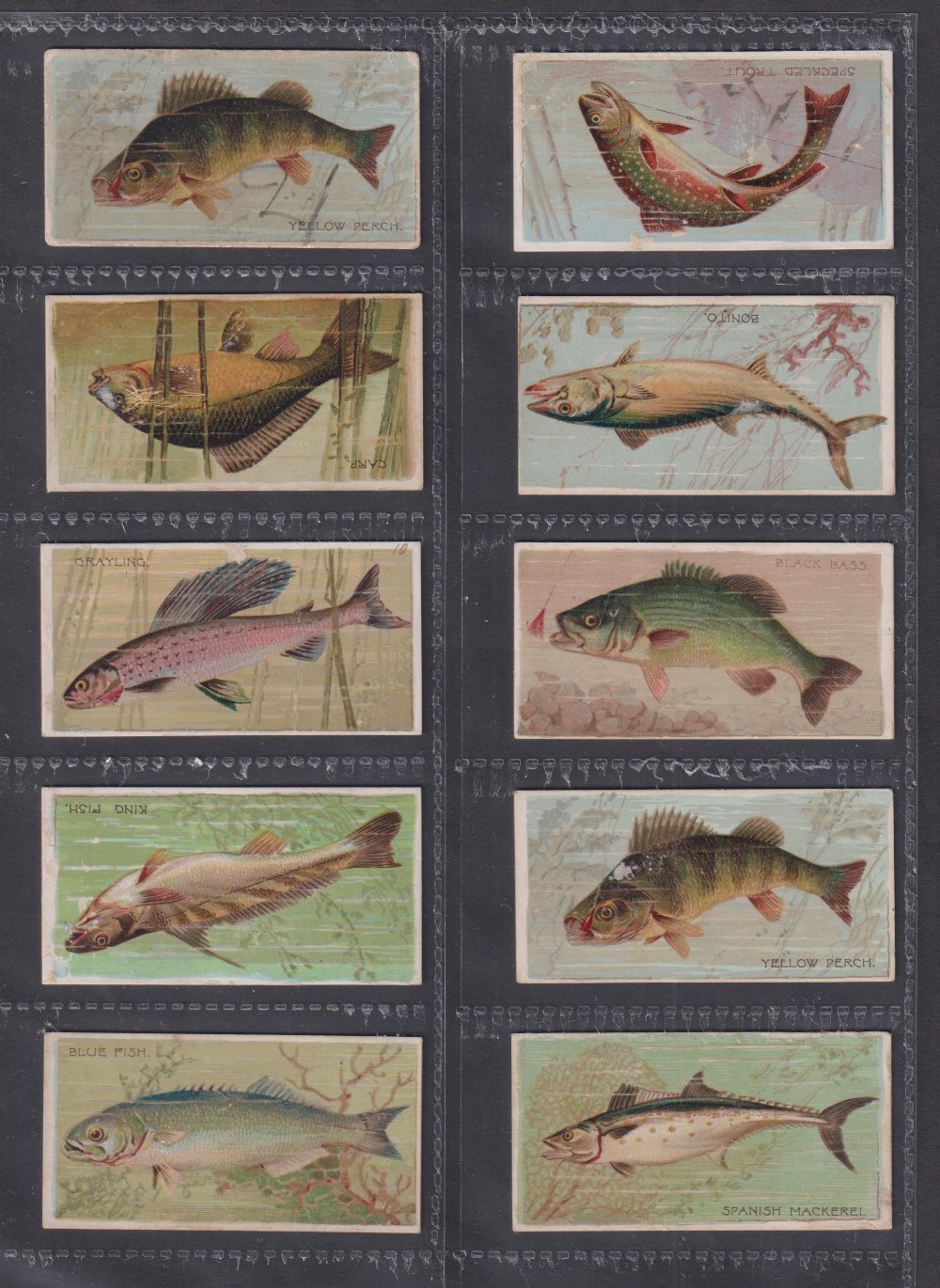 Cigarette cards, USA, Duke's, Fishers & Fish (40/50) (6 fair, rest gd) (40) - Image 7 of 8