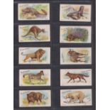 Cigarette cards, Wills (Australia), Wild Animals of the World (set, 50 cards) (1 with back damage,