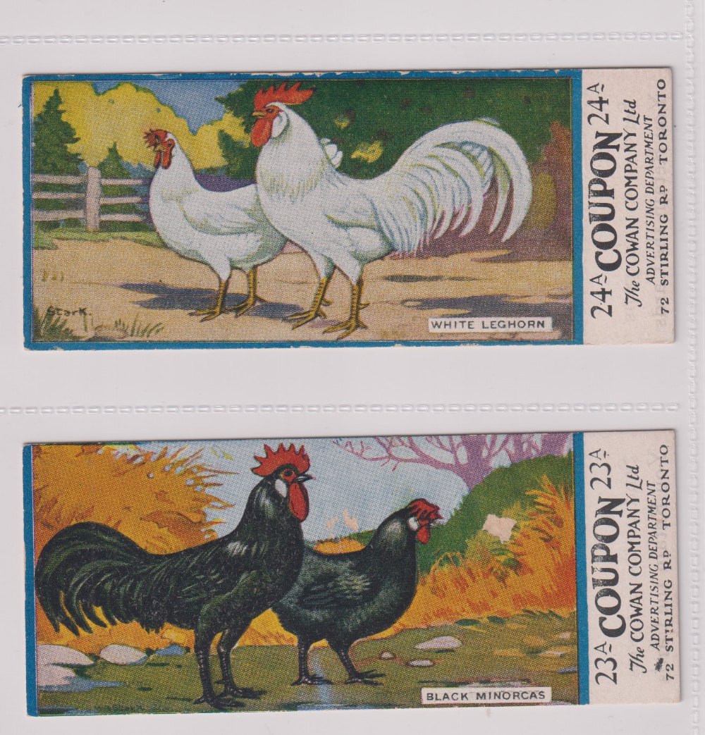 Trade cards, Canada, Cowan's, Canadian Bird Series (10/24, fair/gd), Chicken Cards (14/24, - Image 17 of 24