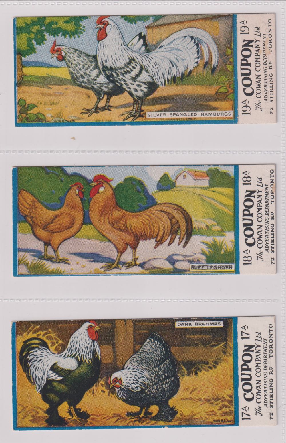 Trade cards, Canada, Cowan's, Canadian Bird Series (10/24, fair/gd), Chicken Cards (14/24, - Image 13 of 24