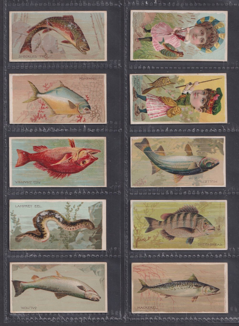 Cigarette cards, USA, Duke's, Fishers & Fish (40/50) (6 fair, rest gd) (40) - Image 5 of 8