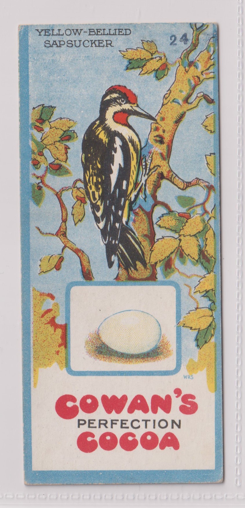 Trade cards, Canada, Cowan's, Canadian Bird Series (10/24, fair/gd), Chicken Cards (14/24, - Image 7 of 24
