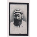 Cigarette card, Smith's, Champions of Sport (Blue Back), type card, W.G. Grace, Cricketer (vg) (1)