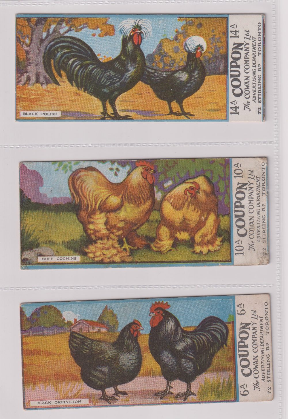 Trade cards, Canada, Cowan's, Canadian Bird Series (10/24, fair/gd), Chicken Cards (14/24, - Image 19 of 24