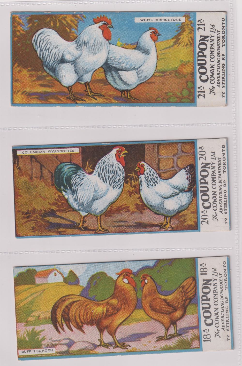 Trade cards, Canada, Cowan's, Canadian Bird Series (10/24, fair/gd), Chicken Cards (14/24, - Image 21 of 24