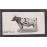 Cigarette card, Taddy, Famous Horses & Cattle, type card, no 19, Ayrshire Bull Beuchan Peter Pan (