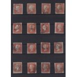 Stamps, GB QV collection of 1d reds including 16 imperf. and 168 mixed plates and stars of which 8