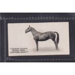 Cigarette card, Taddy, Famous Horses & Cattle, type card, no 36, Yorkshire Coaching Brood Mare, '