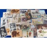 Postcards, Dogs, Pugs, Corgis and Dachshunds 65+ cards to comprise mainly artist drawn cards of pugs