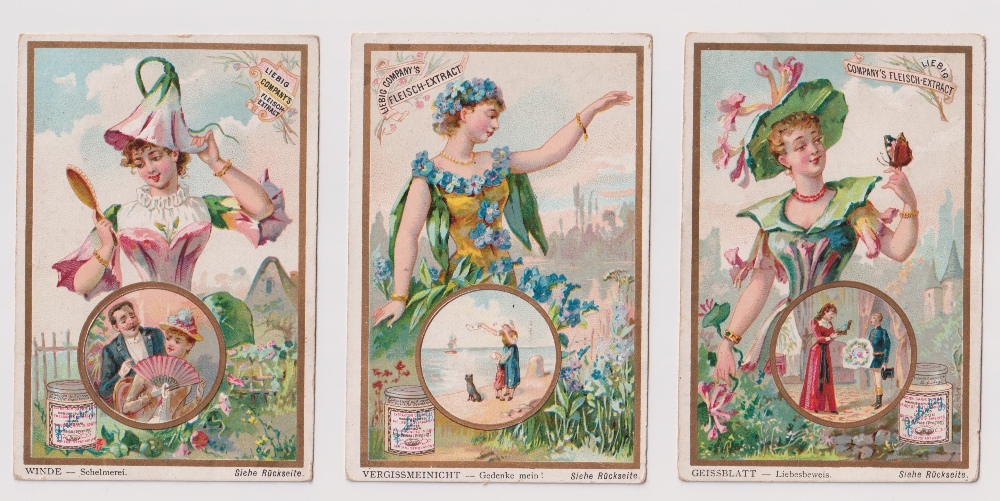 Trade cards, Liebig, 4 German language sets, Christopher Columbus II, Ref S339, Gnomes, Ref S345, - Image 13 of 16